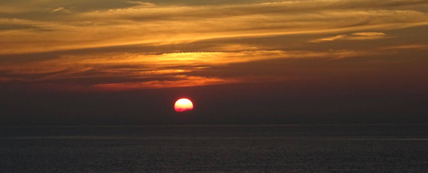 Boeiend tweetboek Marianne Zwagerman over jongste geschiedenis Telegraaf |  Netkwesties