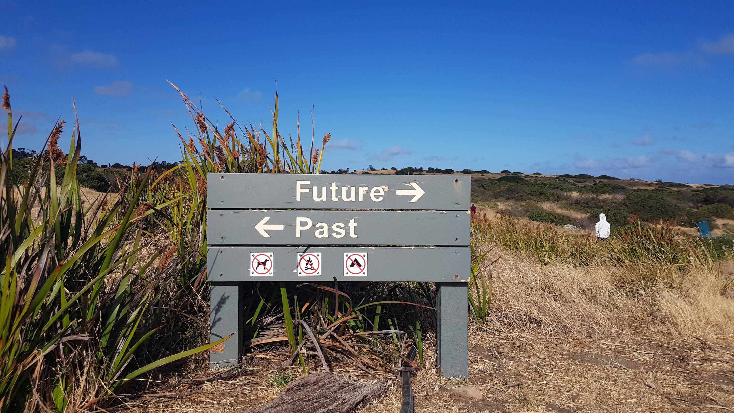 Past, present or future orientation
