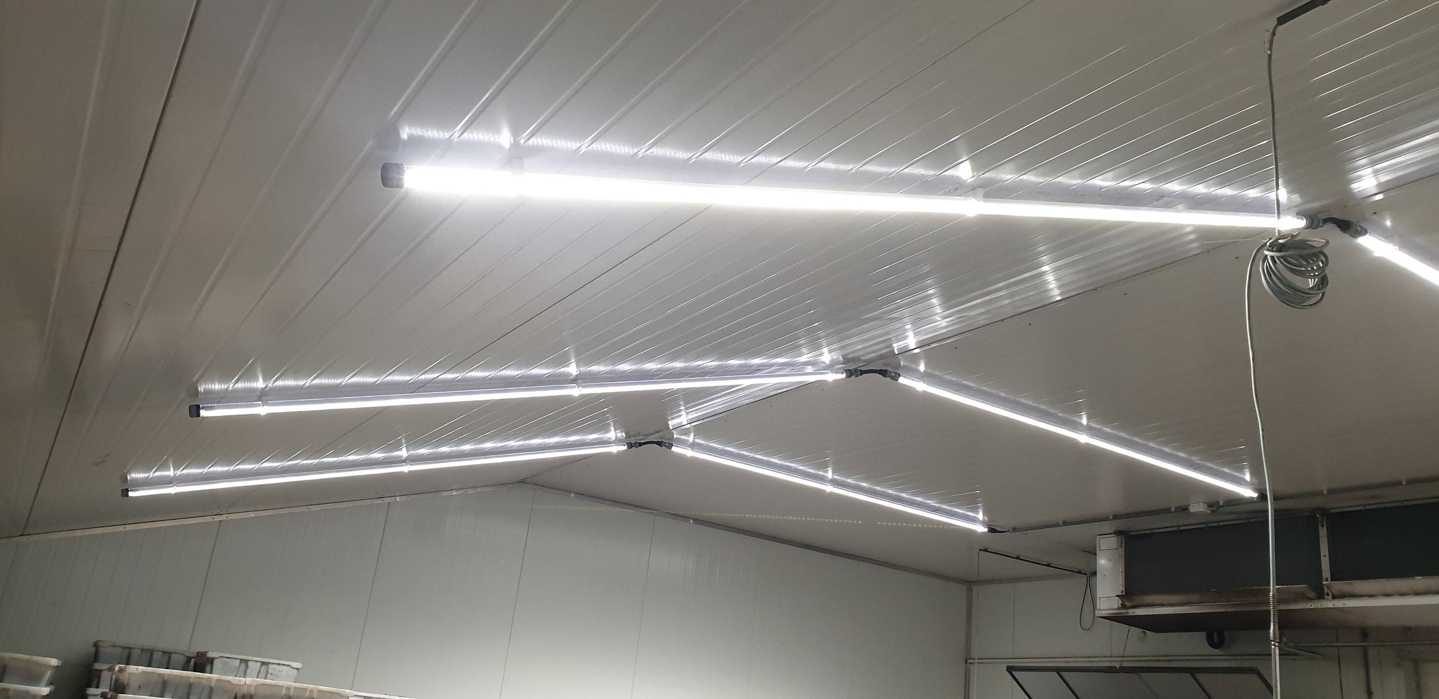 LED verlichting helpt innovatief agrarisch bedrijf energieneutraal te worden